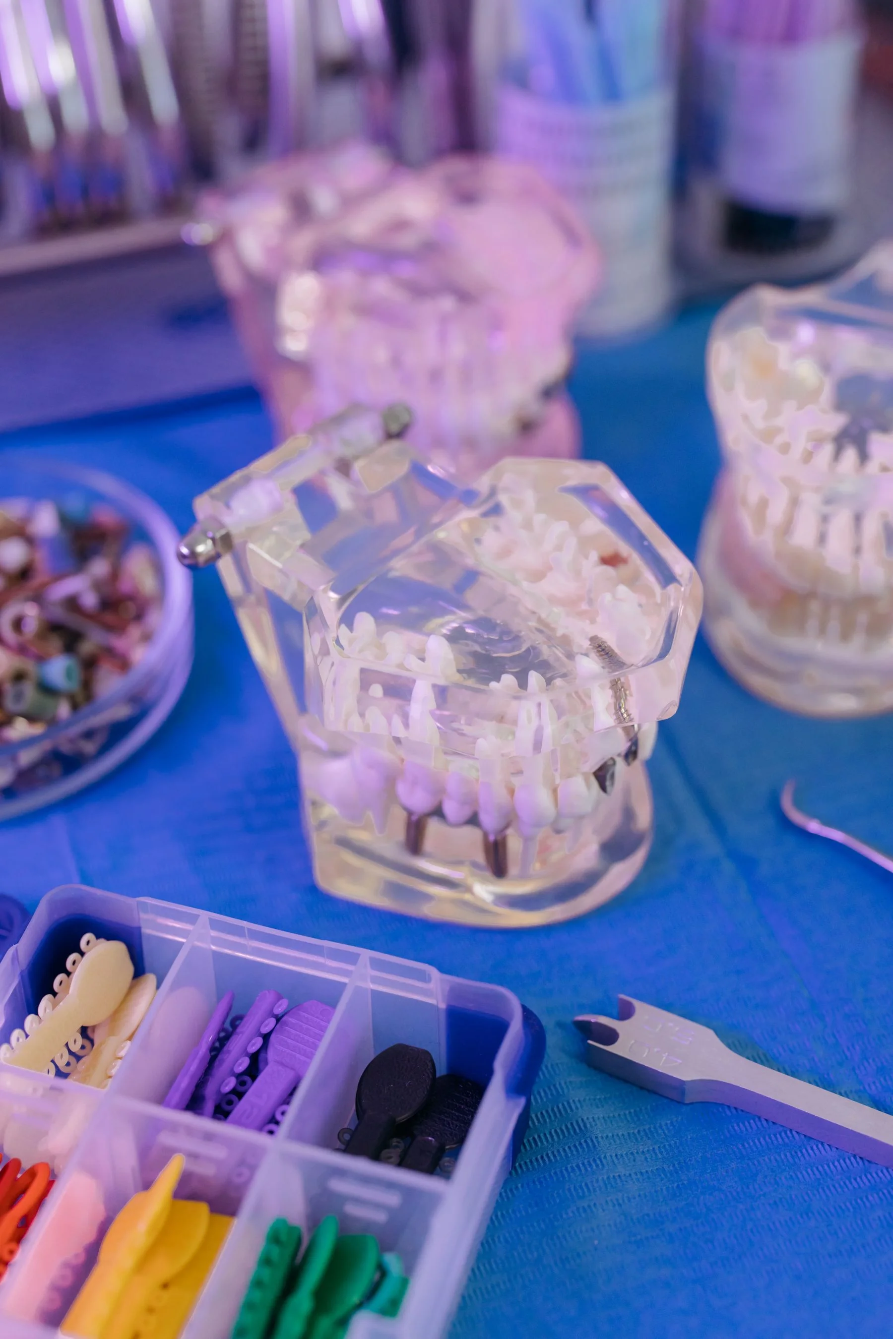 Orthodontic dental model